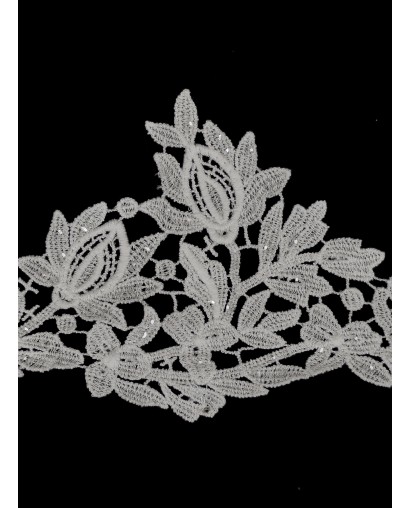 AM13256.204 - Ecru - Taśma