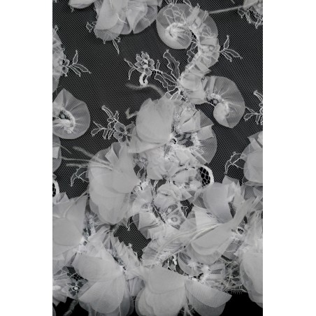 2201 - Biel - Koronka