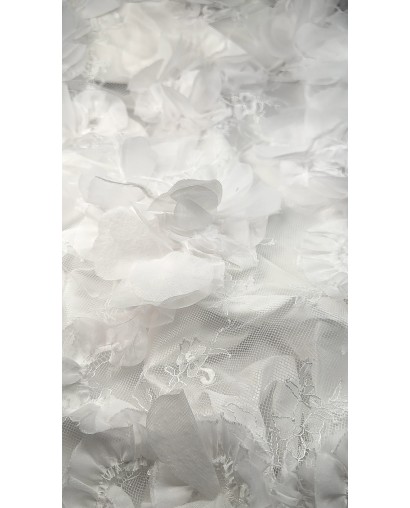 2201 - Biel - Koronka