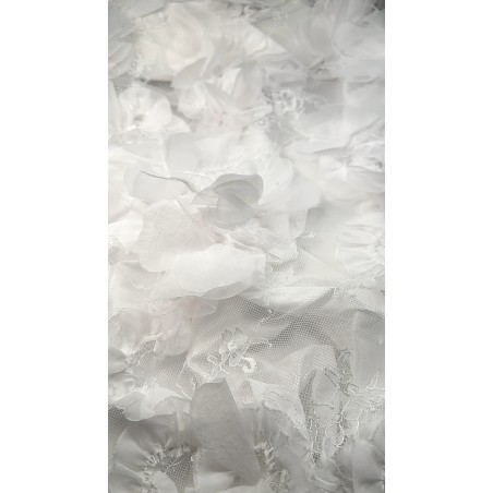 2201 - Biel - Koronka